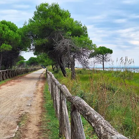 Comfy Flat With Terrace Next To The Bibione